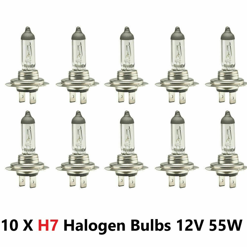 Xencn H7 (499/477) Headlight Bulbs 12V 55W — 10 Pack