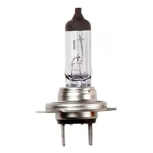 Jinmao H7 477/499 Halogen Headlight Bulbs 12V 55W PX26d — 10 Pack