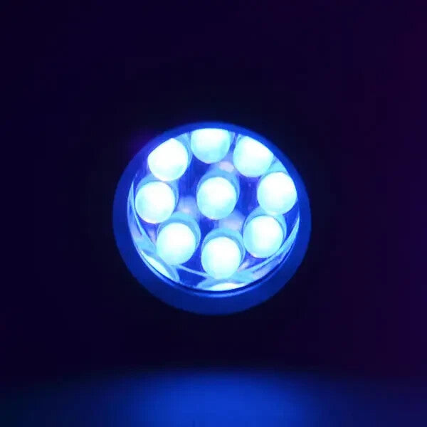 Doobry UV Black Light Torch for Gas Leak, Forensic and Stain Detection