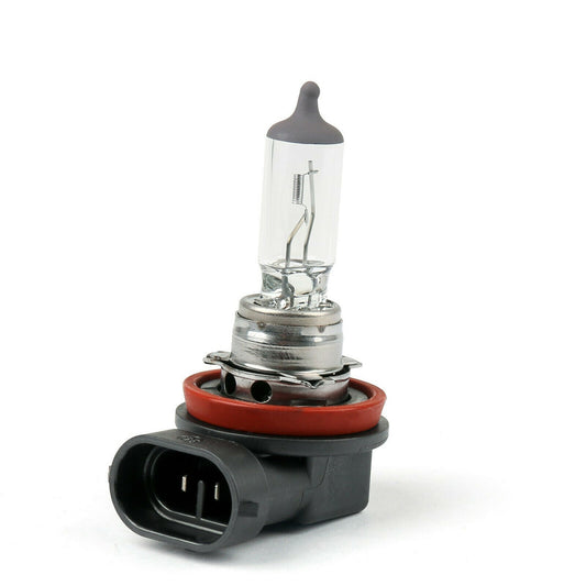 Xencn H11 711 Halogen Headlight/Fog Bulb 12V 55W PGJ19-2
