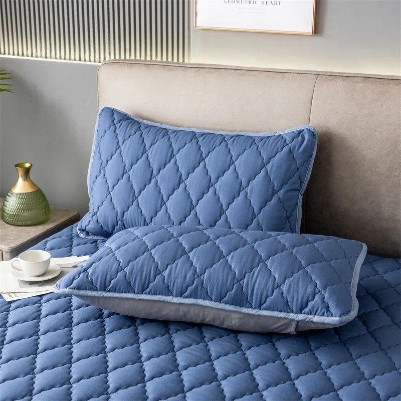 Arlinens Northern-Style Waterproof Anti-Stain Machine-Washable Pillowcases — 2/4 Pack