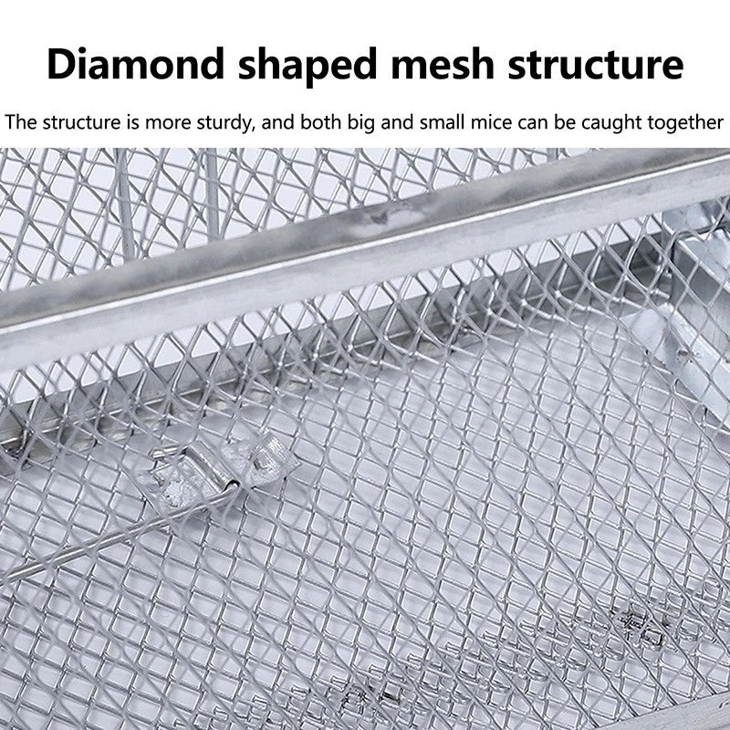 Heavy-Duty Two-Door Humane Rat and Squirrel Cage Trap