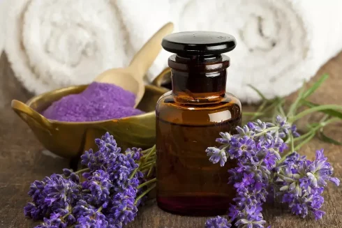 Air freshener, Purifier & Essential Oil Aroma Diffuser with 10ml Lavender Oil - Image 2